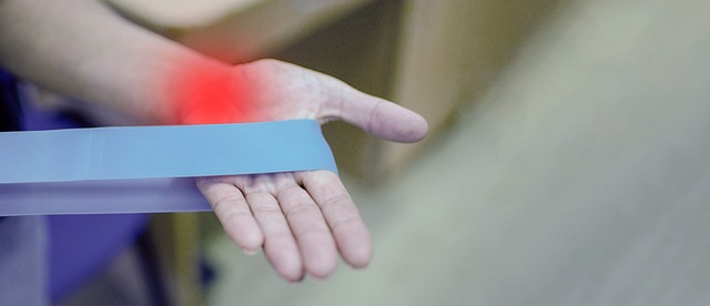 **Syndrom „Żółtych Końcówek”: Jak zidentyfikować przyczynę i uratować brązowiejące liście roślin doniczkowych, zanim będzie za późno?**
