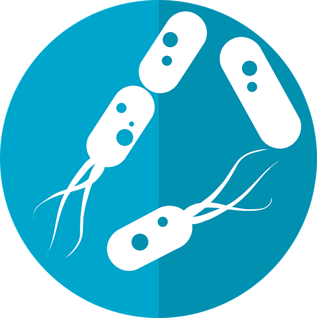 Mikrobiom w biogazowniach: Jak mikroorganizmy kształtują wydajność produkcji biogazu