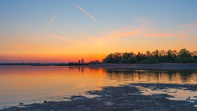 **Mikoryza w służbie wykończeń: Jak grzybnia może zastąpić tradycyjne izolacje i panele ścienne?** - 1 2025