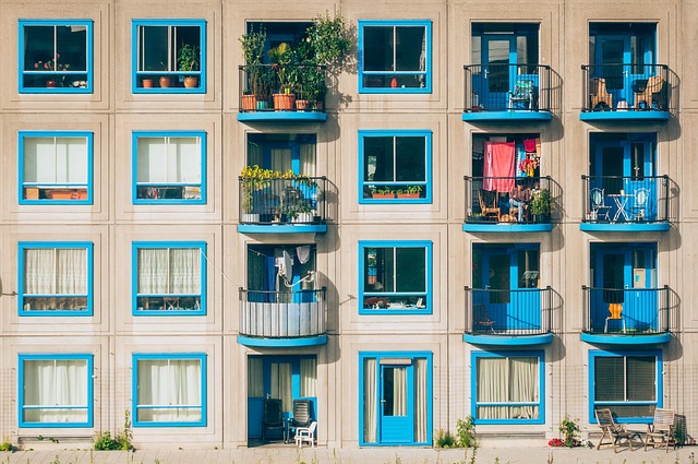 **Rośliny miododajne na balkon: Które gatunki są najłatwiejsze w uprawie i najbardziej atrakcyjne dla pszczół, trzmieli i motyli? (Porównanie)**