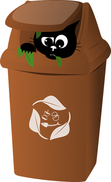 Jakie odpady organiczne są najlepsze do kompostowania? - 1 2025