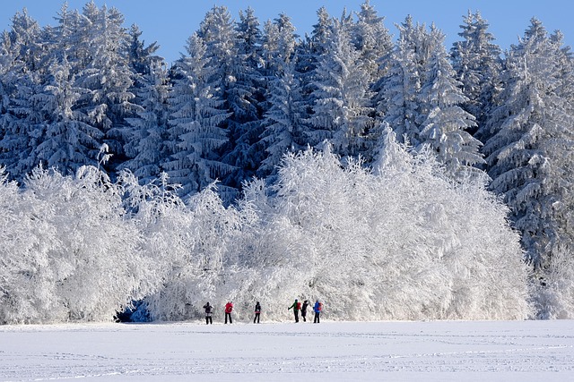 Jak zwiększyć efektywność paneli słonecznych w warunkach niskiej temperatury? - 3 2025